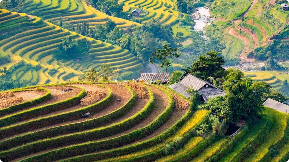 Hoang Su Phi